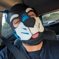 Pup Gizmo ⚙️ (@pupgiizmo) 's Twitter Profile