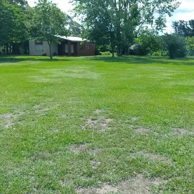 riccicaris's profile picture. Medición, certificación de laboratorios, management/consultoría.