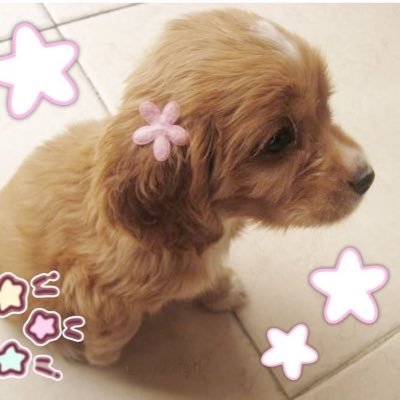 mymeldykin's profile picture. 18+ | she/any