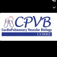 CardioPulmonary Vascular Biology COBRE (@cpvb_cobre) 's Twitter Profile Photo CardioPulmonary Vascular Biology COBRE (@cpvb_cobre) 's Twitter Profile Photo