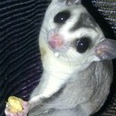 Tyler Kendrick - @TylerKzz1 - Twitter