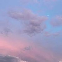 Tetoad (@tetoad62824) 's Twitter Profile