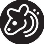 Salotumさんのプロフィール画像