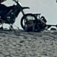 JanSchihin78523's profile picture. 