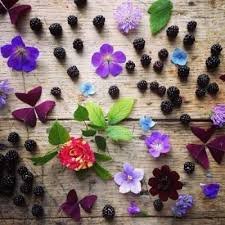 The garden is full of spring scenery, with a few red flowers falling all over the ground