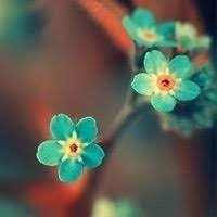 Tesapsoo (@tesapsoo89789) 's Twitter Profile