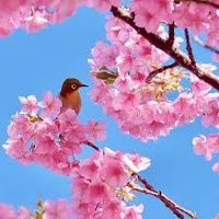 Thesa (@thesa56976) 's Twitter Profile