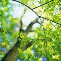 Teaphee226999's profile picture. Take a detour and see the scenery you may have never seen before