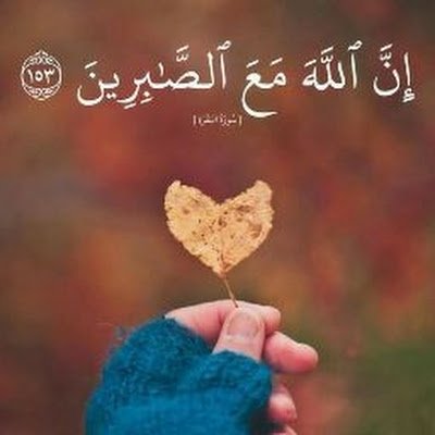 AimanSaba268045's profile picture. 