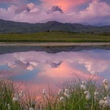 The fragrance of rice flowers tells of a good harvest, and the sound of frogs sounds.