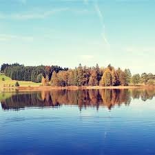 Leave your eyes to the scenery and your weight to the delicious food.