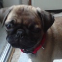 ashley coomes - @strawberry_112 - Twitter