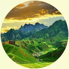 Senolee375462's profile picture. Gods determine what you're going to be。