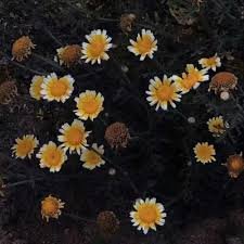 Beautiful things are waiting for you to discover