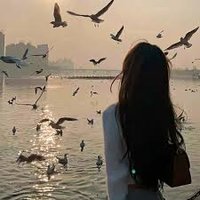 McPatane (@mcpatane80400) 's Twitter Profile