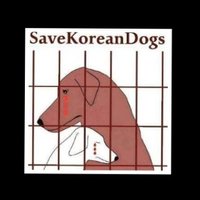 SaveKoreanDogs(@NamiKim_DogsSK) 's Twitter Profile Photo