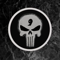 Punisher_skull_9(@Punisherskull9) 's Twitter Profile Photo