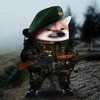 NAFO-Chris 🇺🇦 (@ceinherjer) 's Twitter Profile Photo NAFO-Chris 🇺🇦 (@ceinherjer) 's Twitter Profile Photo