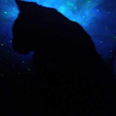 eimikah's profile picture. whatever