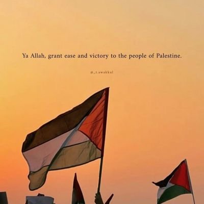 BismaSi59157829's profile picture. Social worker