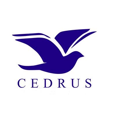 @CedrusNews