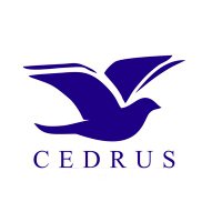 Cedrus (@cedrusnews) 's Twitter Profile Photo Cedrus (@cedrusnews) 's Twitter Profile Photo
