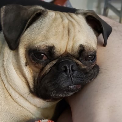 AEP | ALF | Crypto | OG Video Gamer | Investing | Always on an Adventure | Chaotic Neutral | Prefer group quests | Helpful to everyone | NHL NFL