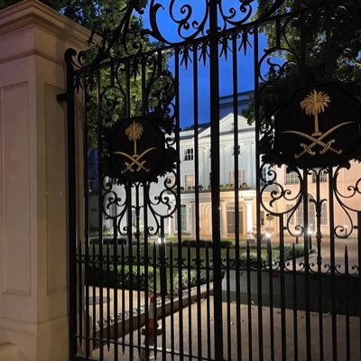 _RUOSH's profile picture. ✨