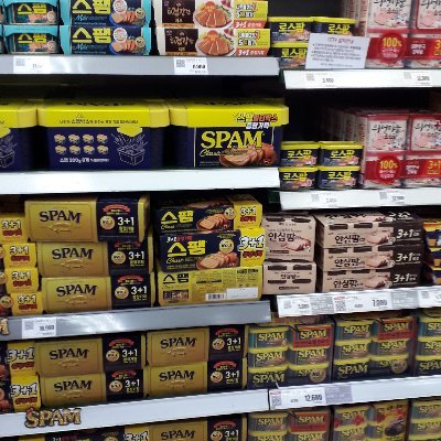 Neil2History's profile picture. Male, which means I have a 'Y' Chromosome in each cell of my body which serves to carry the genomic information.