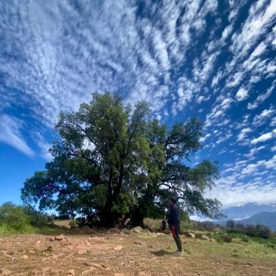 32 vueltas al ☀️ padre de dos hij@s facundoo~Leonoor 👧🏻👦🏻😍😘👨‍👧‍👦❤️😍In the end🎵🍺amante del trekking 🏃🏻‍♂️⛰️🏔️🌄⚫️⚪️🤟🏻