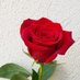 Mai Farah (@maifarah3) Twitter profile photo Mai Farah (@maifarah3) Twitter profile photo