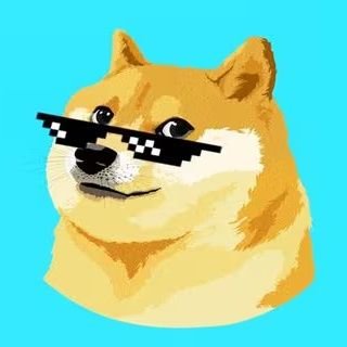 DOGE-1 MISSION activist #DOGE 1$ soon. Anything tweeted NFA |  DM for promo ✍️ Ambassador  @ponkesol @MyroSOL