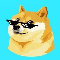 DOGE 1$(@DogeSpaceXX) 's Twitter Profile Photo