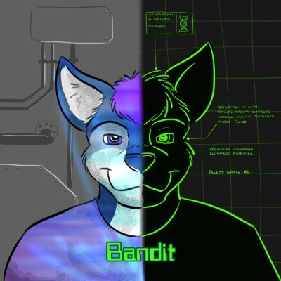 BanditsBork Profile Picture