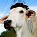 WillOUFC (@willoufc23) Twitter profile photo WillOUFC (@willoufc23) Twitter profile photo