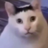 cacau (@ruan_erik14) 's Twitter Profile