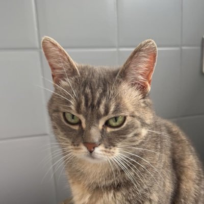 cassos3000's profile picture. 