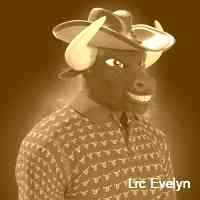 evelynlrcc50's profile picture. bayc  | nft’s & crypto investor | web 3.0 | eth sol 👑 stΞphen l'm glad to be here. nfts nftcommunity metaverse bayc