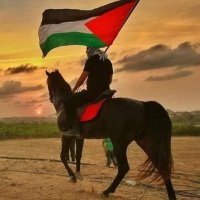 Elbono (@ahmed_beh1) 's Twitter Profile