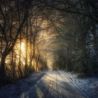 sarah 🪽 (@gafy580) 's Twitter Profile