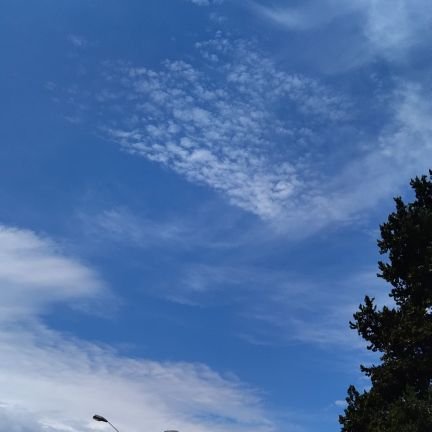 kimberlySi68725's profile picture. 