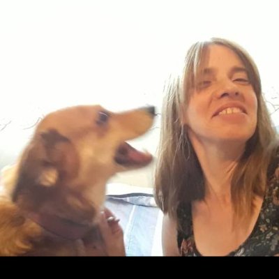 licenlet's profile picture. 