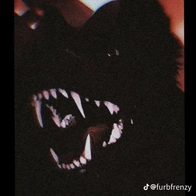 Deinnister's profile picture. my soul is full of rot

...

Artist.

18 years old.