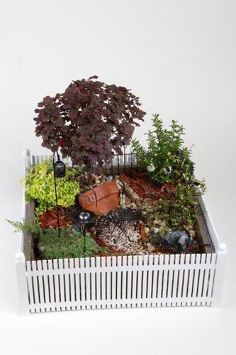 fairygardeninc's profile picture. 