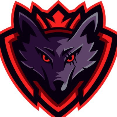 Esports Organization here to support players for Super Smash Bros. Ultimate. 100% of profits go to supporting our players! Please help us help them!