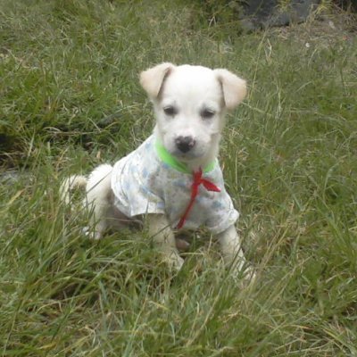 Daramy99's profile picture. Mérida-Venezuela.