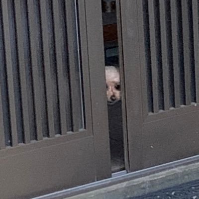 JUN1ZGMF_X10A's profile picture. 