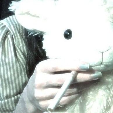 cottonさんのプロフィール画像