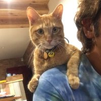 ひで手塚 (@hidefinkdaddy) 's Twitter Profile