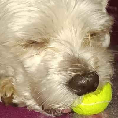 enduserin's profile picture. 